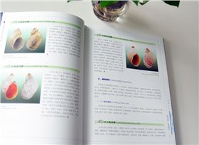陸生貝類  精裝畫(huà)冊(cè)印刷出版