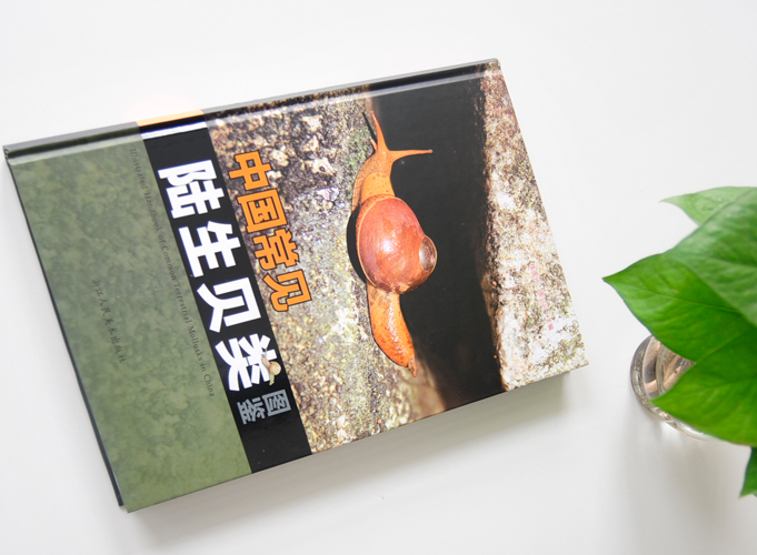 中國常見陸生貝類圖鑒  精裝書 精裝畫冊印刷